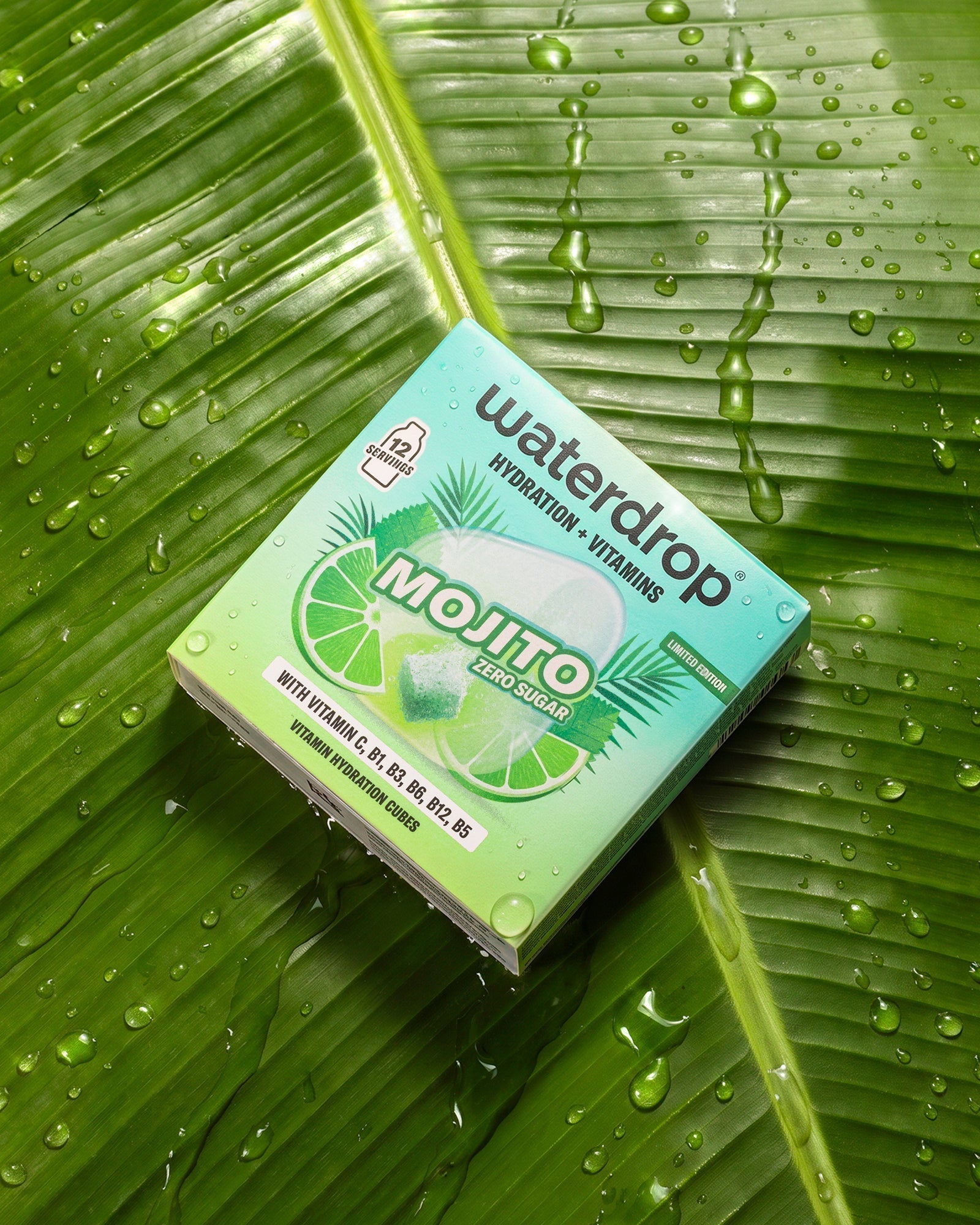 MOJITO Store Copy 26C15B4C96 image 4